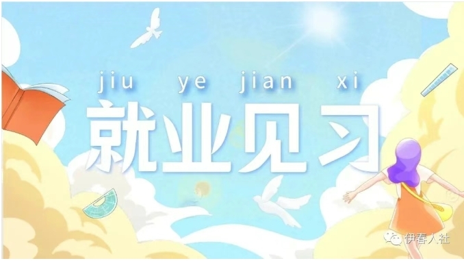 就业见习.png