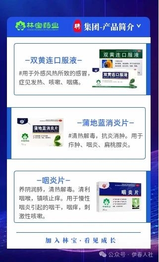林宝12.jpg