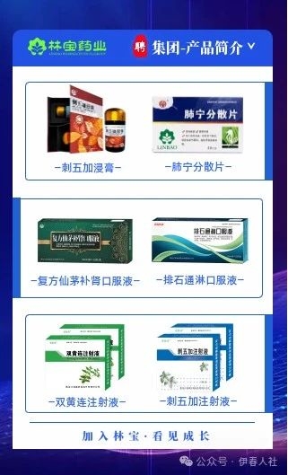 林宝13.jpg